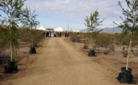 UA bio park kicks into gear UA bio park kicks into gear
